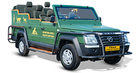 Trax Jungle Safari